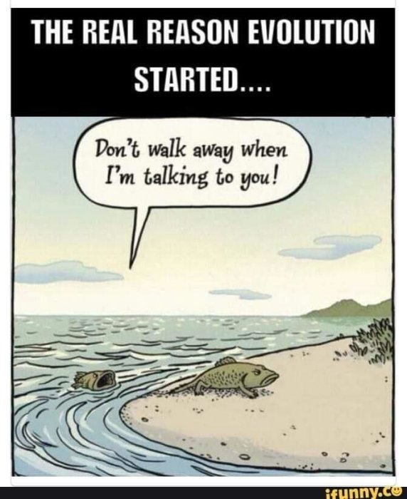Seriebild med texten "THE REAL REASON EVOLUTION STARTED…", en fisk som går i land med pratbubbla "Don't walk away when I'm talking to you!".