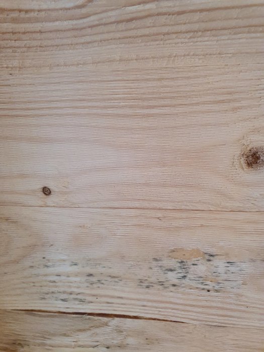 Träpanel med mögel på ytan, indikerar fuktproblem i nybyggt tak.