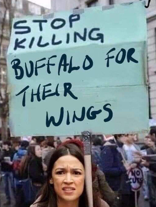 Person håller upp en protestskylt med texten "STOP KILLING BUFFALO FOR THEIR WINGS" på en demonstration.