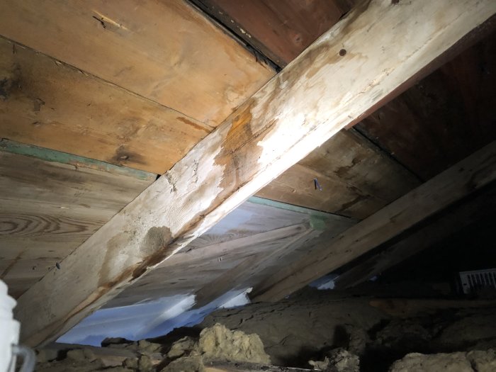 Vattenläckage på vind med synliga fuktskador och spikhål i takpapp under takrenovering.