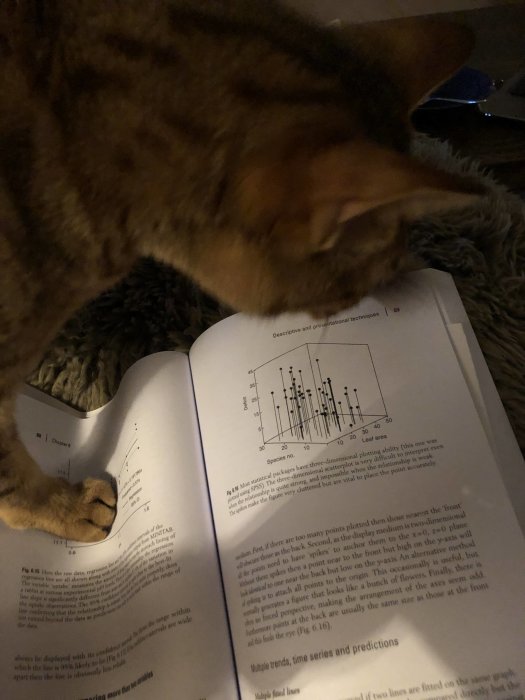 Katt som rör vid en bok med tassarna, ser ut att "bläddra" på sidan med diagram och text.