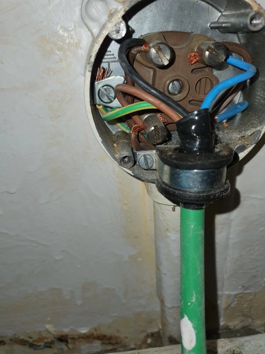 Elektriska anslutningar inne i ett vägguttag med kopparledningar och en grön jordledning, tidigare kopplade till en spis.
