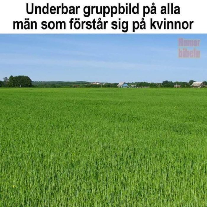 Bild av en tom grön äng med text som skämtar om mäns förståelse för kvinnor.