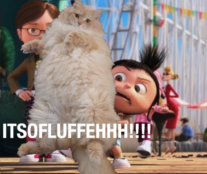 En stor, fluffig vit katt framför animerade karaktärer med texten "ITSOFLUFFEHHH!!!