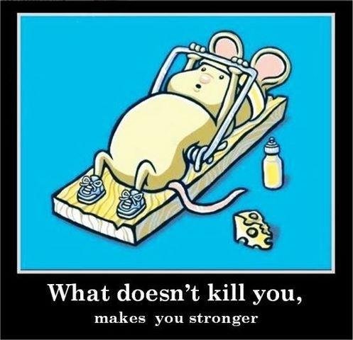 Tecknad mus som tränar på en musfälla med texten "What doesn't kill you, makes you stronger".