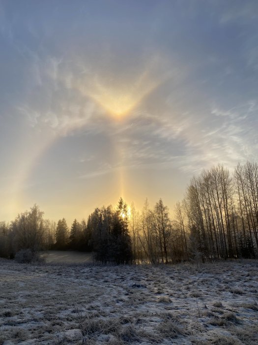 Solhalo över frostigt landskap med träd silhuetter i motljus.