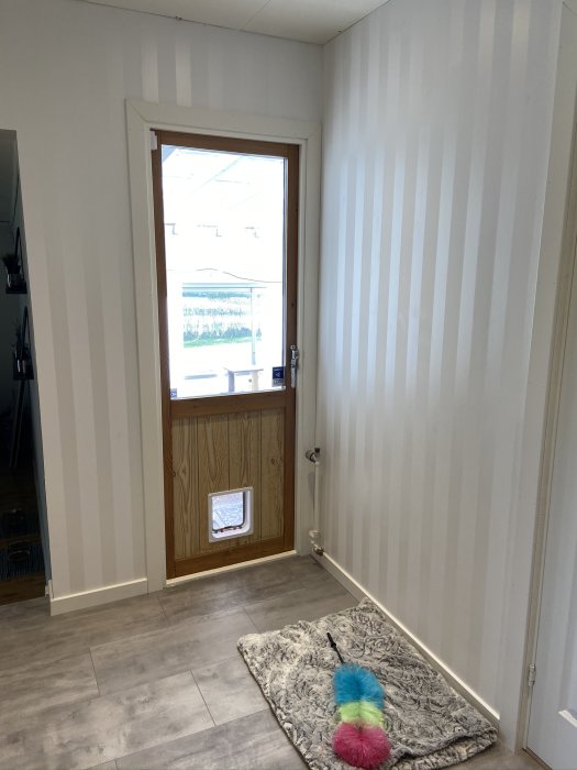 En renoverad entré med nytt golv, golvlist och dörrfoder, samt en dörr med ett kattlucka.