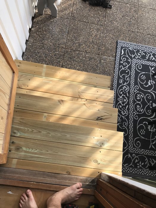 Nylagda trätrappsteg som leder ner till ett grusbelagt uterum med en dekorativ matta och hund.