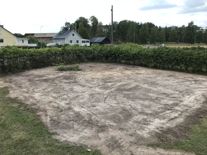 Jordyta beredd för sådd av gräs omgiven av häck med hus och himmel i bakgrunden.
