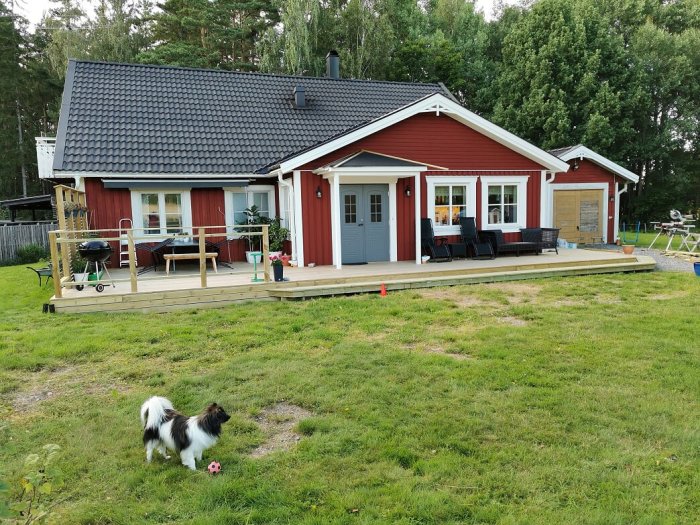 Nyrenoverad röd villa med utbyggd entré och uteplats, komplett med möbler och hund på gräsmattan.