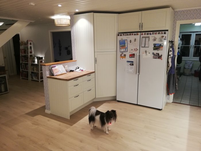 Renoverat kök med ny inredning och vitvaror, en hund i förgrunden och en öppning mot en annan del av huset.