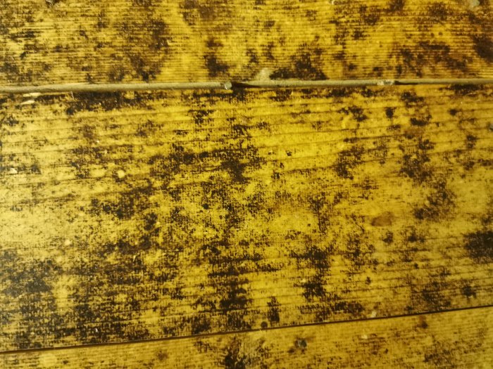 Gammalt plankgolv med stora svarta fläckar som kan vara mögel eller gammal tjära.