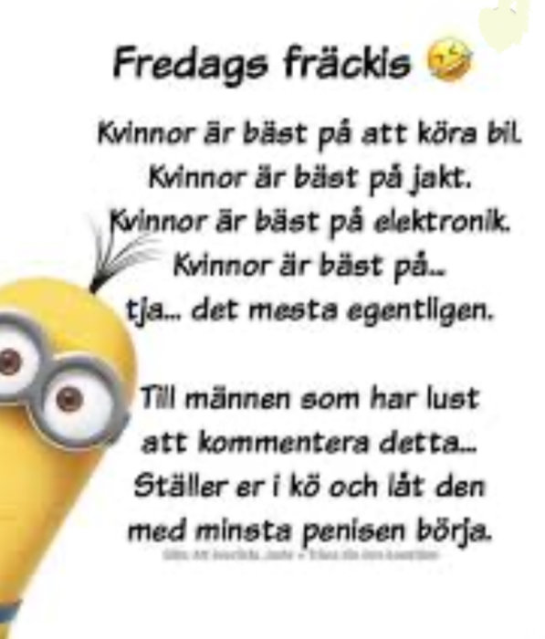 Illustration av en minion från "Dumma Mej" med text om kvinnor som är bäst på olika saker.