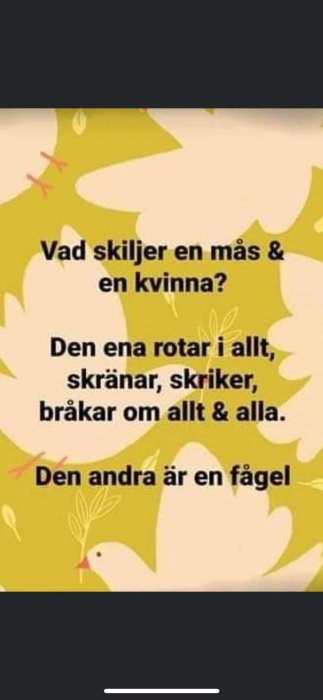 En humorbild med text som spelar på ordleken mellan beteendet hos en mås och en kvinna, med avslutningen att den ena är en fågel.