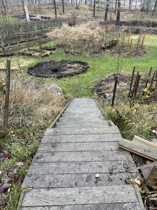 Trädäck i en slänt leder till en trädgård, med odlingsbäddar och grönska runt omkring.
