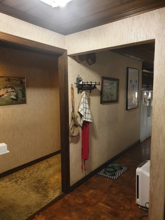 Olohuoneen käytävä, jossa on ruskea seinä, päällystetty lattia ja ripustin, johon on ripustettu esineitä. Kaksi vesikuppia lattialla.