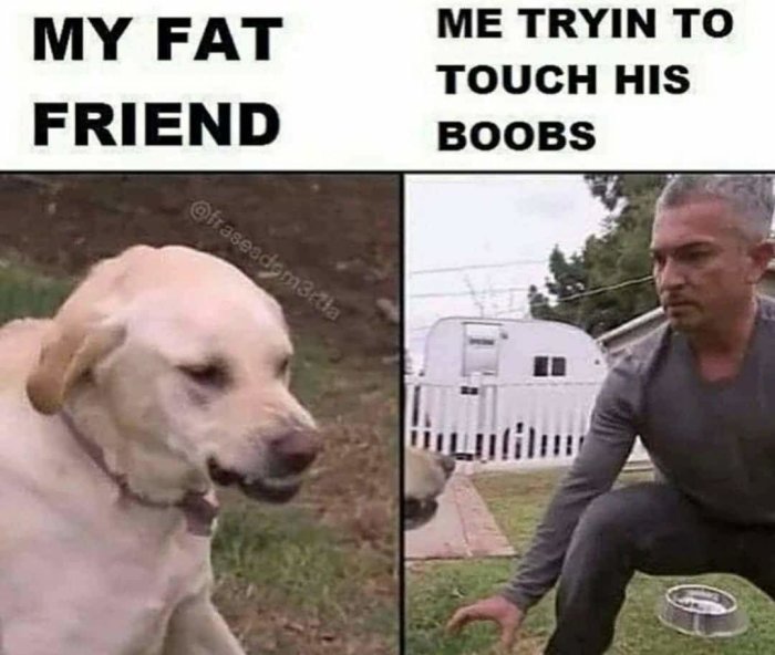 Meme med text "MY FAT FRIEND" bredvid en bild på en hund, och "ME TRYIN TO TOUCH HIS BOOBS" bredvid en man som gestikulerar.