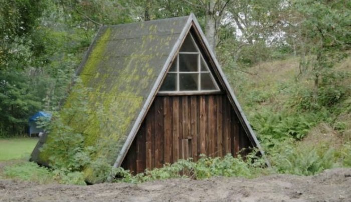 A-frame skogshuggarkoja med träbeklädnad och mossa på taket, placerad i skogsmiljö.