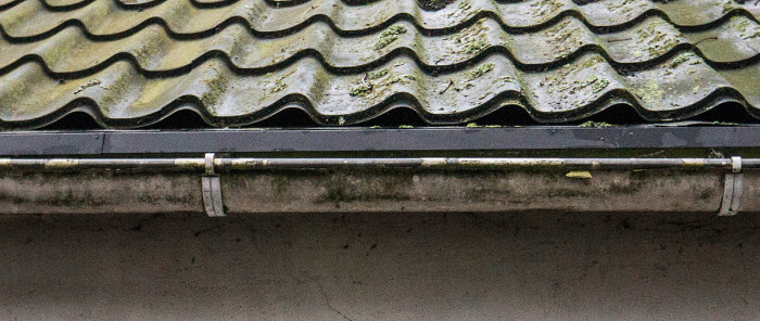 En närbild av ett plåttak med pannliknande struktur och en takränna nedanför, nedsmutsad med mossa och löv.