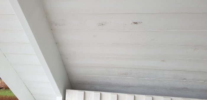 20201211_131354.jpg