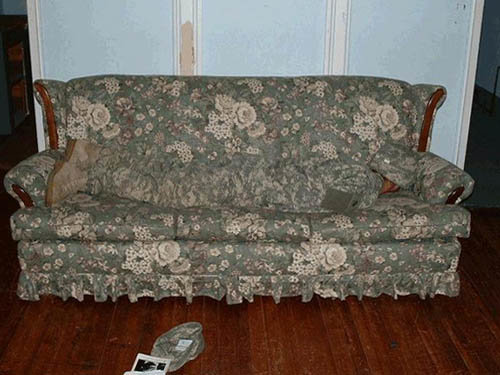 En gammaldags blommig soffa med ett kamouflerat djur, troligtvis en katt, som gömmer sig och smälter in med mönstret.