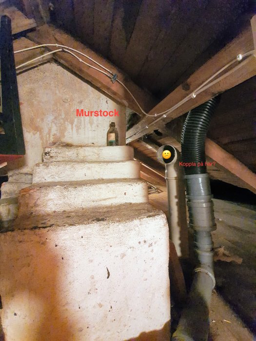 20201212_121250.jpg