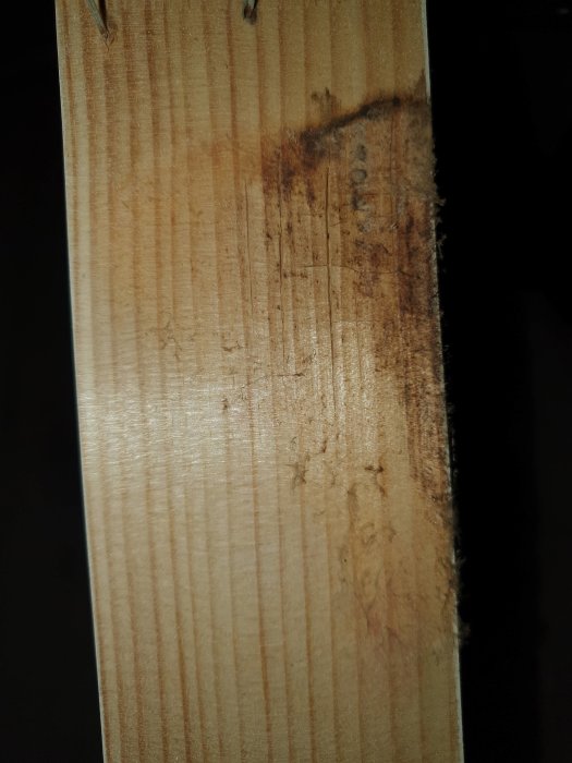 20201212_193115.jpg
