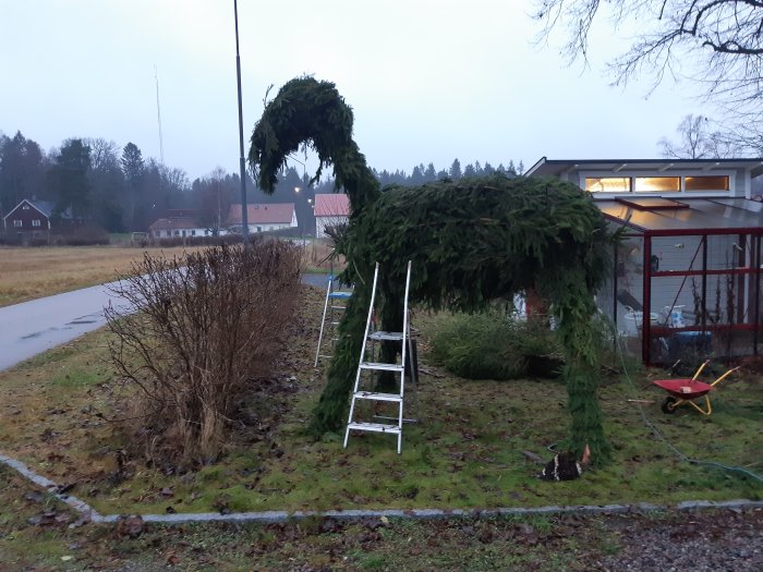 Hemmagjord granbock av återbrukat material med granris, ben av furutolpar, i ett grått utomhuslandskap.