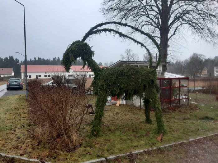 Handgjord granbock konstruerad av gammal läkt och furutolpar med granris, utomhus på ljus dag.