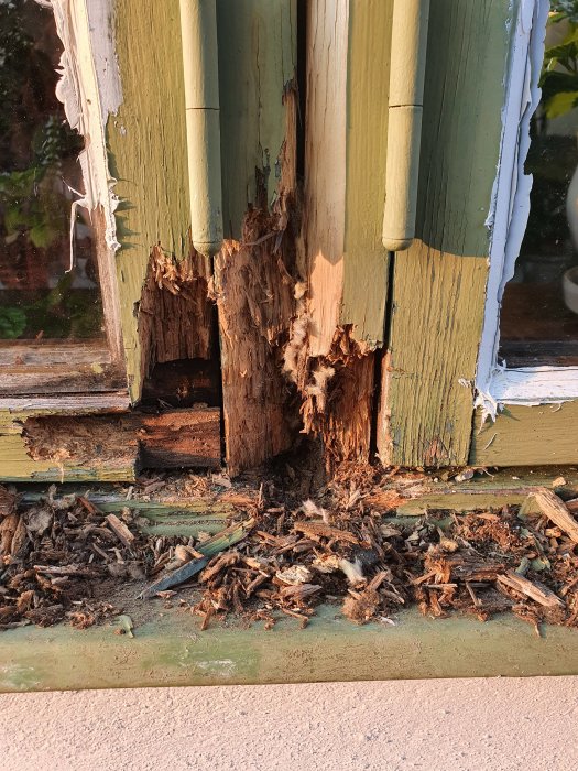 Rotangrepp och skador på träfönsterkarm med avflagad färg och synligt murket trä.