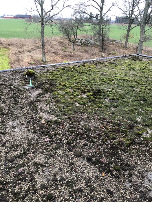 Mossbeklätt plant tak med spridda grus- och jordpartier och en ventilationstrumma i förgrunden, omgiven av natur.