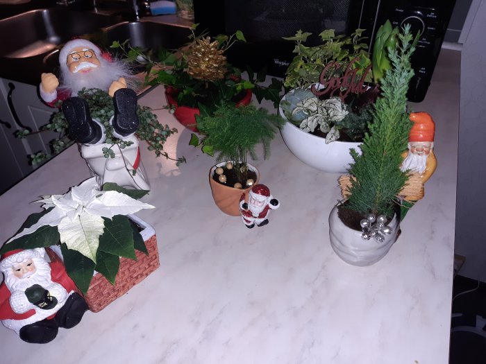 Juldekorationer med figurer av jultomtar och växter på ett köksbord.