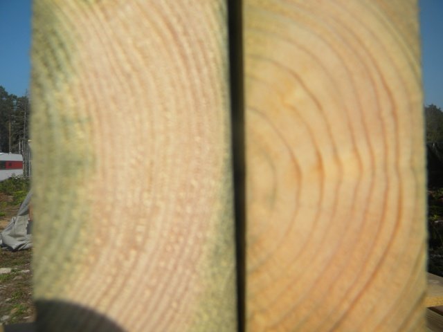 DSCN0574.jpg