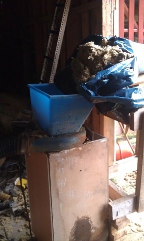 IMAG0513.jpg