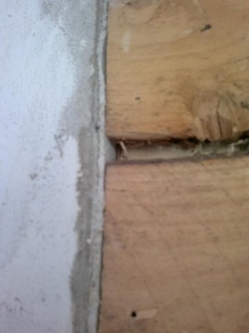 25092011079.jpg