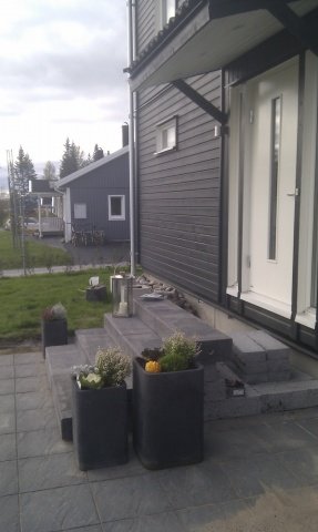 IMAG0290.jpg