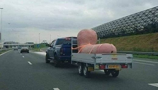 Pickup med släp som bär en stor rosa plastskulptur som liknar bakdelen av en naken figur.