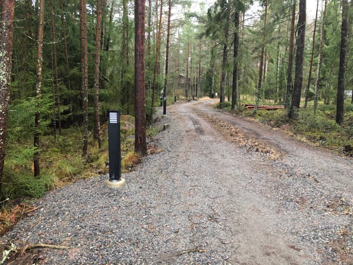 En grusväg i en skog med en nyinstallerad svart gatlykta i förgrunden och några bänkar i bakgrunden.