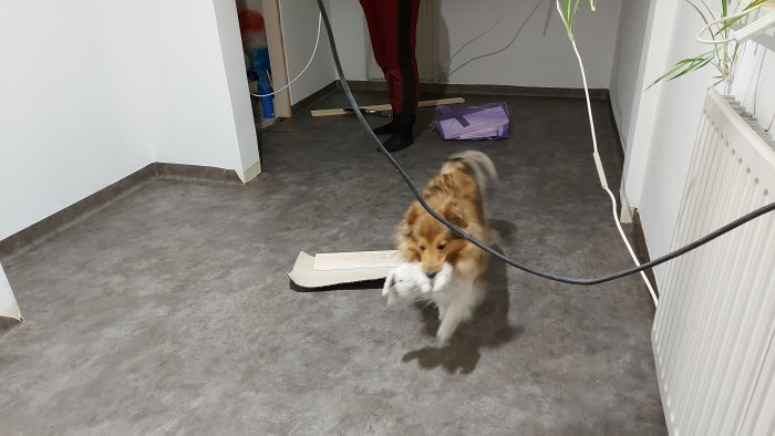 20201219_014235.jpg