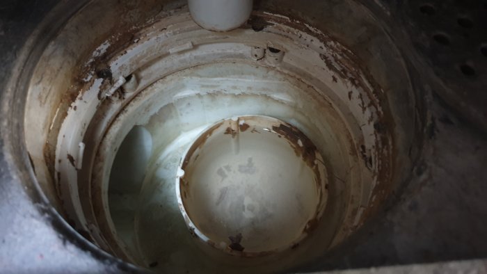 Insida av en golvbrunn med vatten i vattenlåset och en plastinsats ovanpå avloppet.