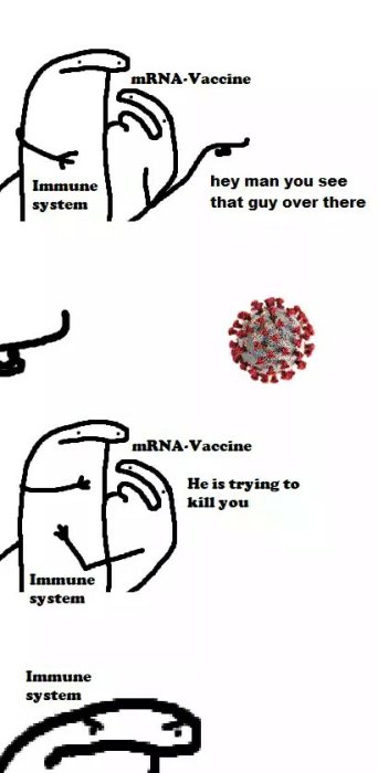 Illustration av hur mRNA-vaccin informerar immunsystemet om virus, med stickfigurer och viruspartikel.