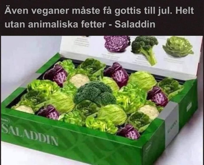 Låda med salladshuvuden förpackade som konfektyr med texten "Helt utan animaliska fetter - Saladddin".