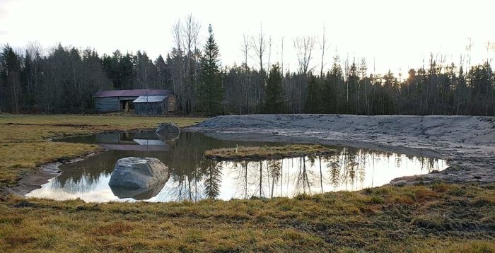 Nyanlagd liten damm med vatten speglas mot skogsbakgrund och ett gammalt lada i gryningen.