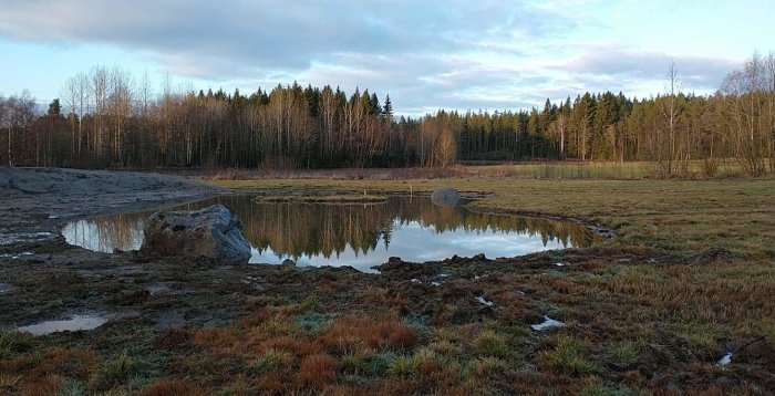 Nygrävd damm i en öppen äng med omgivande skog och stenblock nära vattenytan.