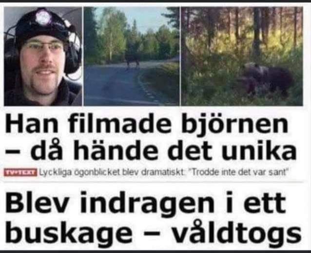 Kollage av en person i hjälm, en björn vid en väg, och en tidningsrubrik som handlar om en dramatisk björnhändelse.