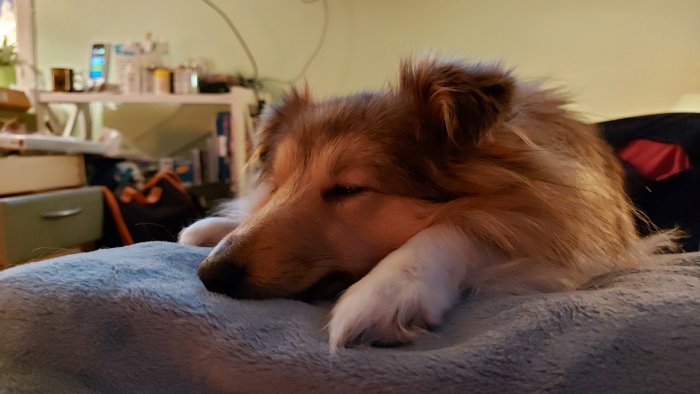 20201220_134923.jpg