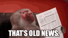 Babian som sitter och tittar på en tidning med texten "THAT'S OLD NEWS" ovanför.