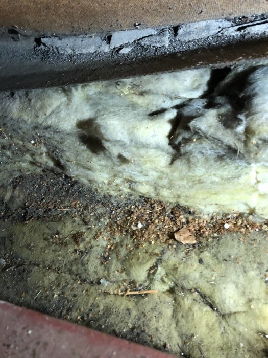 Isolering på vind med grus och frökapslar samt möjliga fuktfläckar.