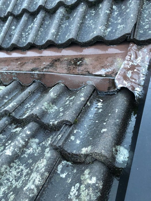 Takpannor på hus med synlig skada och mossbildning, plåtarbete syns i kanten.