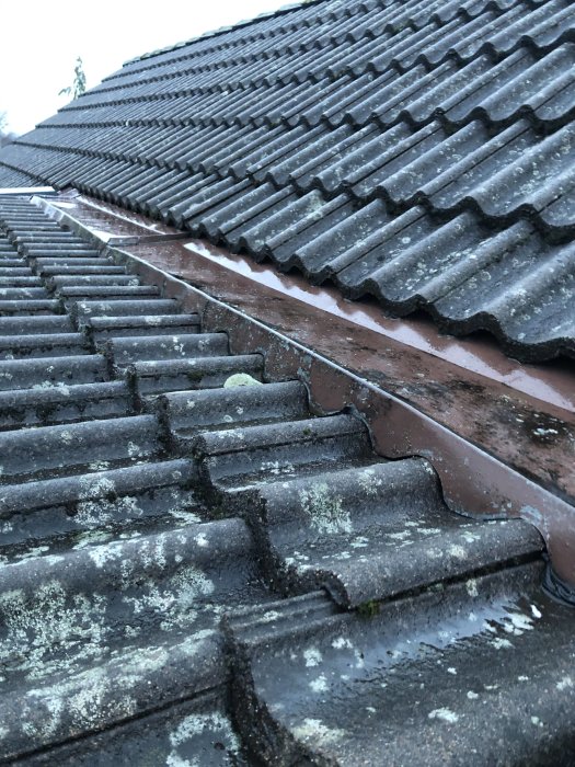 Takpannor på 70-talshus med synligt slitet plåtarbete och bitvis mossa.